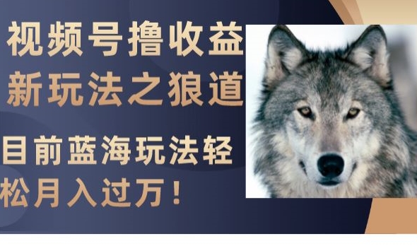 视频号撸收益新玩法之狼道，目前蓝海玩法，轻松月入过万