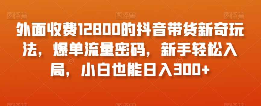 外面收费12800的抖音带货新奇玩法，爆单流量密码，新手轻松入局，小白也能日入300+