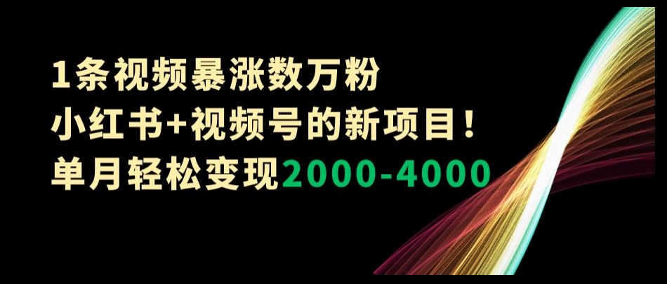 1条视频暴涨数万粉–小红书+视频号的新项目！单月轻松变现2000-4000