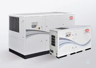 英格索兰V5.5-200-250kw