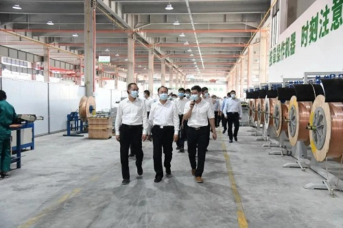 龙岩市委市政府工作检查组走进伊普思调研考察