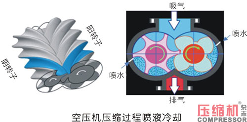 20240429282045.jpg 29.JPG