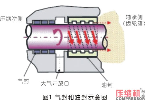 20240702896876.jpg 23.JPG