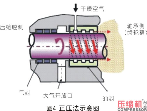 20240702947962.jpg 26.JPG